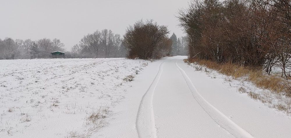 Anfang Dezember: Zwischen Schnee Und Glatteis - Unwetter24.net