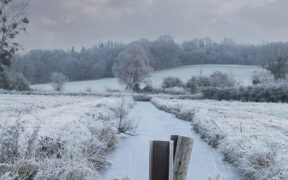 Schnee und Frost November 2024