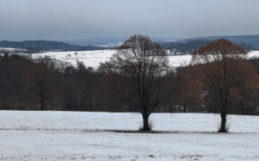 Schnee Ende November 2024