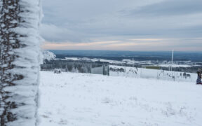 Schnee Anfang Dezember 2024