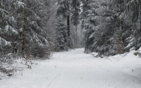 Schnee Anfang Dezember 2024