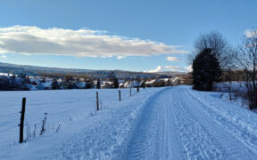 Schnee und Frost Anfang Januar 2025