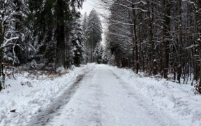 Dauerschneefall ab 04. Januar 2025